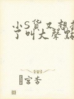 小S货又想挨C了叫大声点小