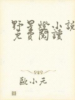 野星灯小说全文免费阅读