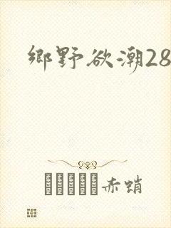 乡野欲潮28章