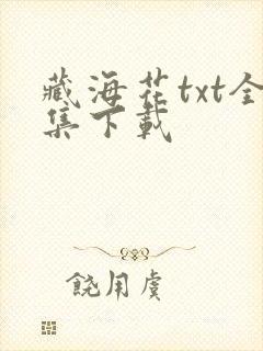 藏海花txt全集下载