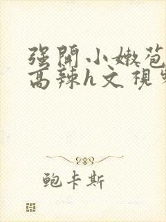 强开小嫩苞h文高辣h文视频