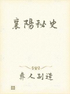 襄阳秘史