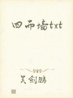 四面墙txt