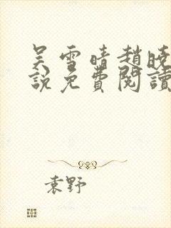 吴雪晴赵晓东小说免费阅读