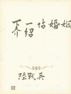 下一站婚姻剧情介绍