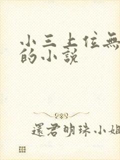 小三上位无三观的小说