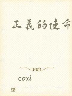 正义的使命小说