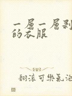 一层一层剥开我的衣服