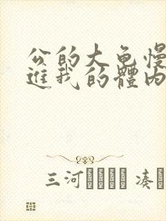 公的大龟慢慢挺进我的体内