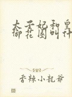 太子妃和皇帝在御花园叫什么小说