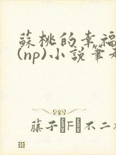 苏桃的幸福生活(np)小说笔趣阁