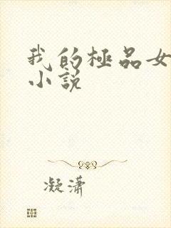 我的极品女老师小说
