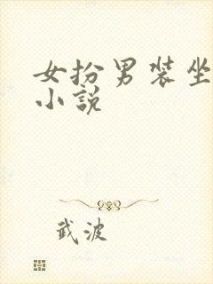 女扮男装坐江山小说