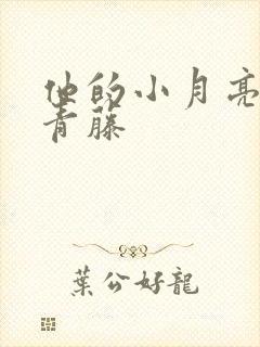 他的小月亮by青藤