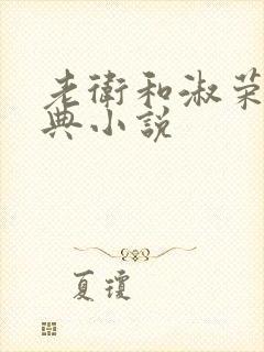 老卫和淑荣的经典小说