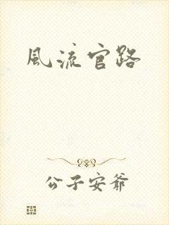 风流官路