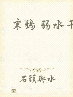 寒鸦 弱水千流