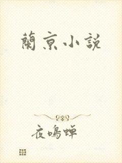 兰京小说
