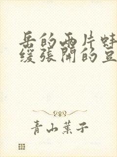 岳的两片蚌肉缓缓张开的豆瓣评分