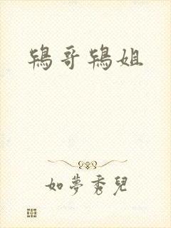 鸨哥鸨姐