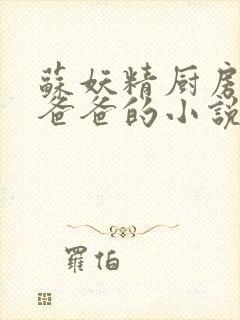 苏妖精厨房爹爹爸爸的小说