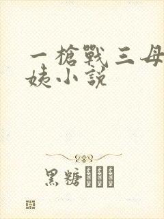 一枪战三母2雪姨小说