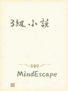 3级小说