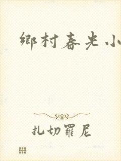 乡村春光小说