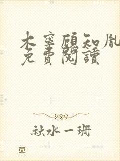 木宁顾知胤小说免费阅读