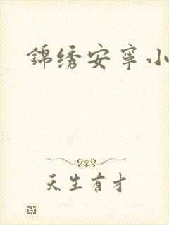 锦绣安宁小说
