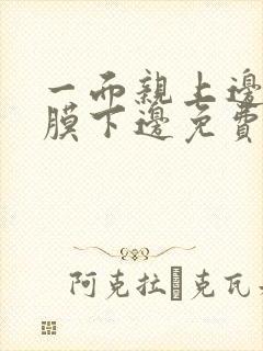 一面亲上边一面膜下边免费阅读