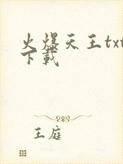 火爆天王txt下载