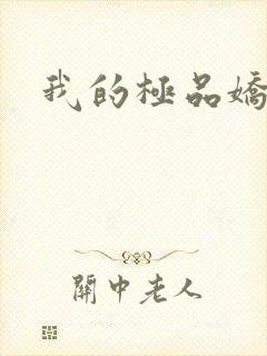 我的极品娇妻