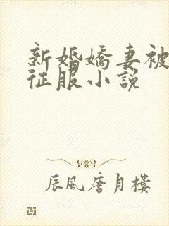 新婚娇妻被巨茎征服小说