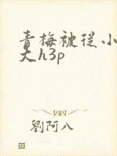 青梅被从小摸到大h3p