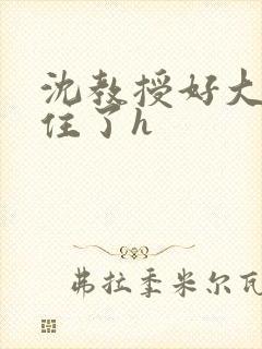 沈教授好大含不住了h