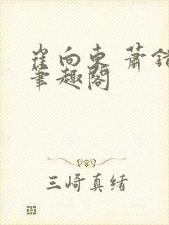 崔向东 萧错 笔趣阁