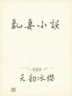 乱妻小说