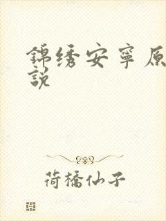 锦绣安宁原著小说