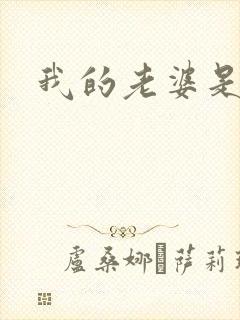 我的老婆是军阀