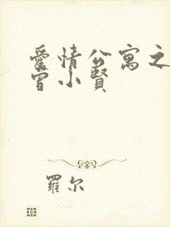 爱情公寓之极品曾小贤