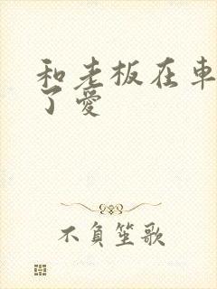 和老板在车里做了爱