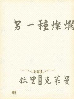 另一种灿烂生活