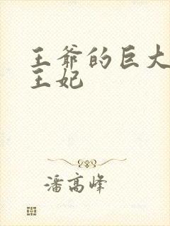 王爷的巨大进入王妃