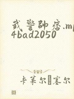 武警帅痞.mp4bad2050