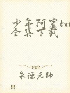 少年阿宾txt全集下载