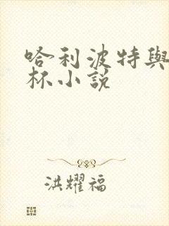 哈利波特与火焰杯小说