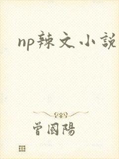 np辣文小说