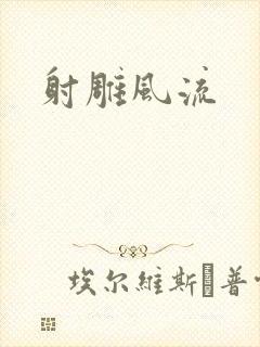 射雕风流