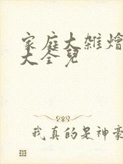 家庭大杂烩小说大全儿